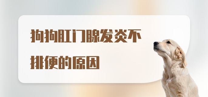 狗狗肛门腺发炎不排便的原因