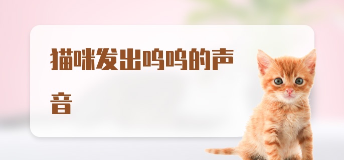 猫咪发出呜呜的声音