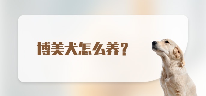 博美犬怎么养？