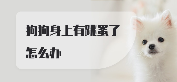 狗狗身上有跳蚤了怎么办