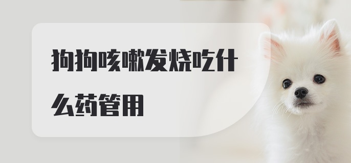 狗狗咳嗽发烧吃什么药管用