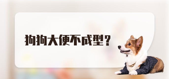 狗狗大便不成型？