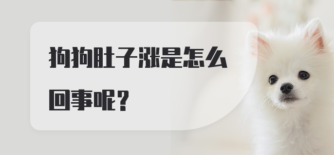 狗狗肚子涨是怎么回事呢?