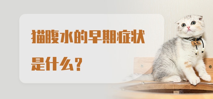 猫腹水的早期症状是什么?