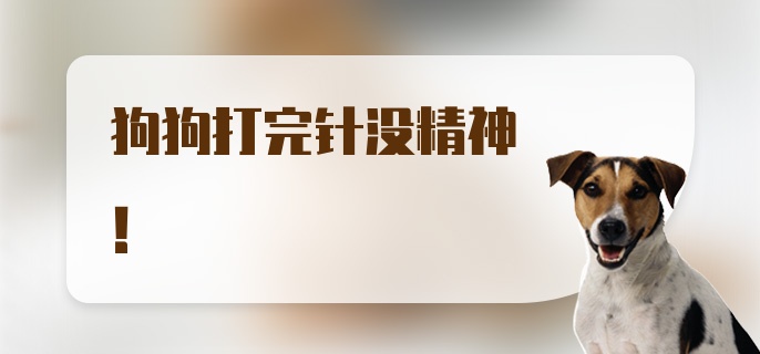 狗狗打完针没精神！