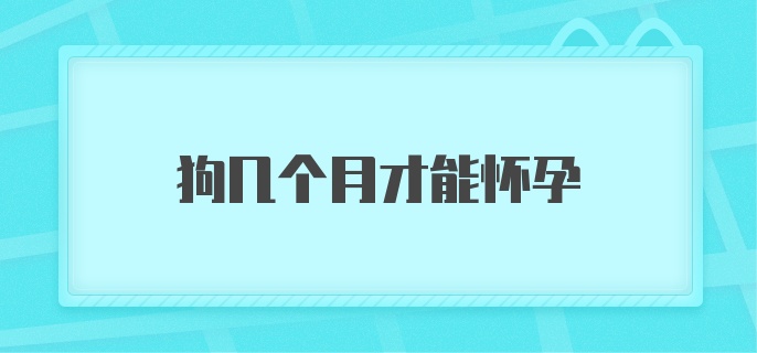 狗几个月才能怀孕