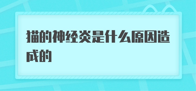 猫的神经炎是什么原因造成的