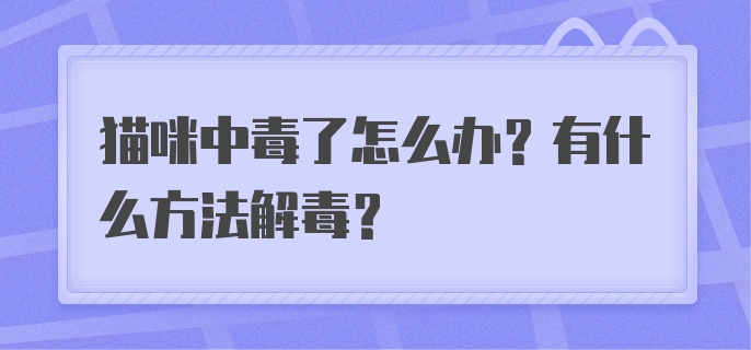 猫咪中毒了怎么办？有什么方法解毒？