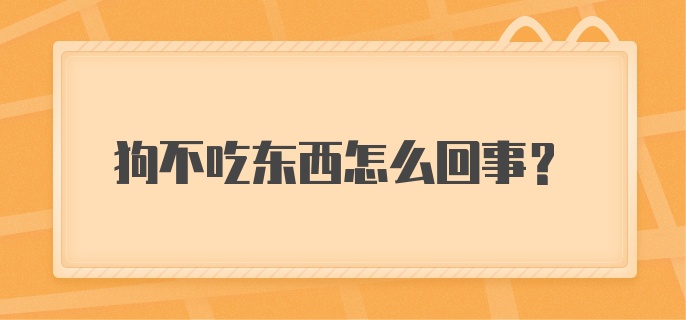 狗不吃东西怎么回事？