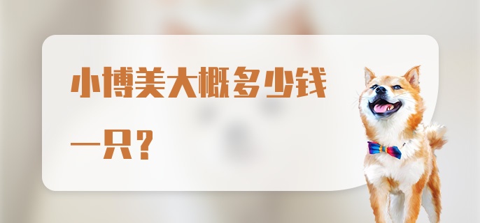 小博美大概多少钱一只？