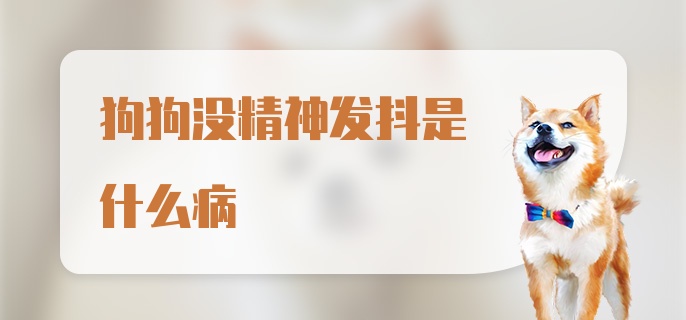 狗狗没精神发抖是什么病