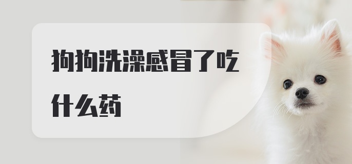 狗狗洗澡感冒了吃什么药