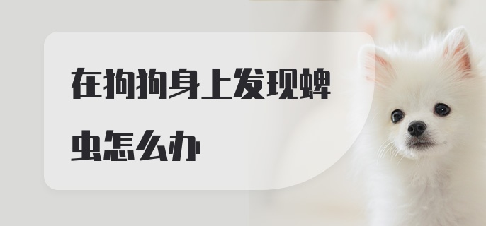 在狗狗身上发现蜱虫怎么办