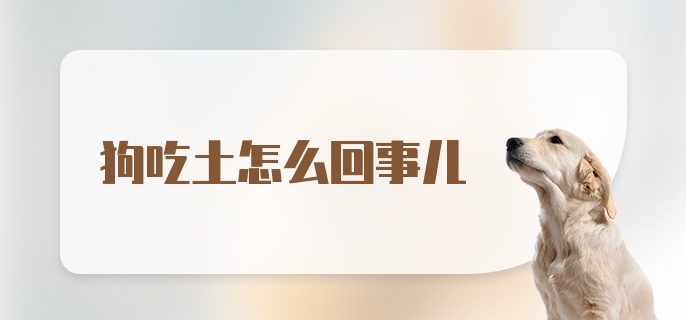 狗吃土怎么回事儿