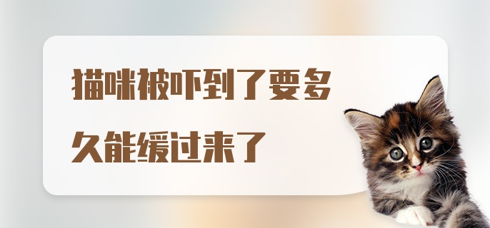 猫咪被吓到了要多久能缓过来了