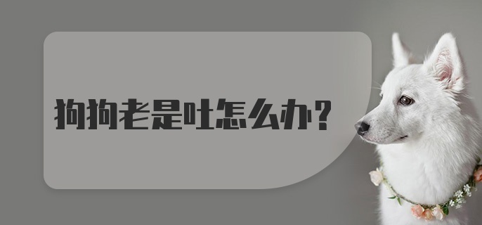 狗狗老是吐怎么办？