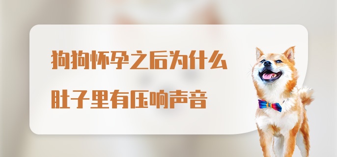 狗狗怀孕之后为什么肚子里有压响声音