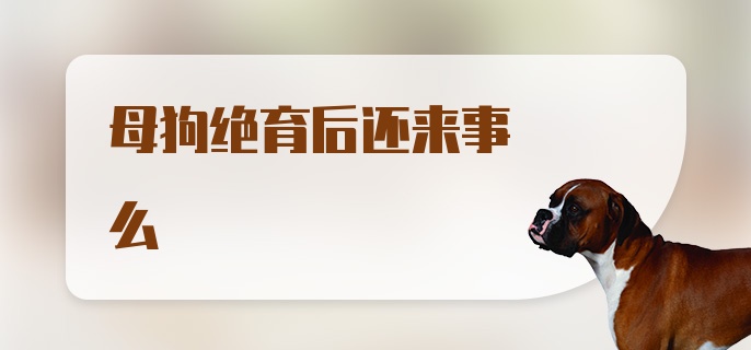 母狗绝育后还来事么