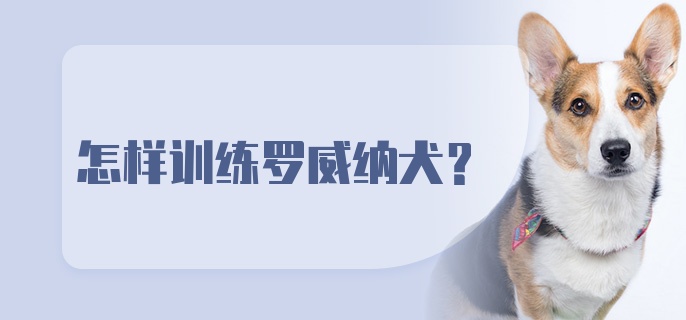 怎样训练罗威纳犬？