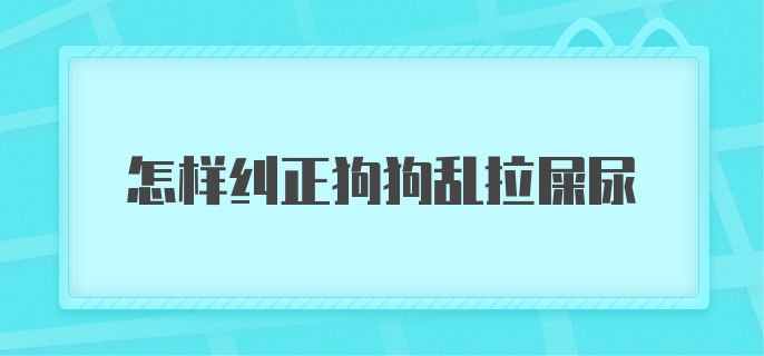 怎样纠正狗狗乱拉屎尿