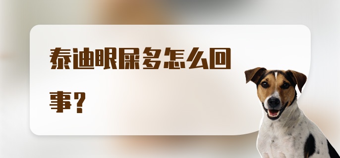 泰迪眼屎多怎么回事？