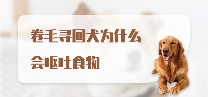 卷毛寻回犬为什么会呕吐食物