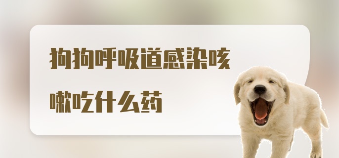 狗狗呼吸道感染咳嗽吃什么药