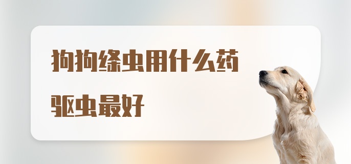 狗狗绦虫用什么药驱虫最好