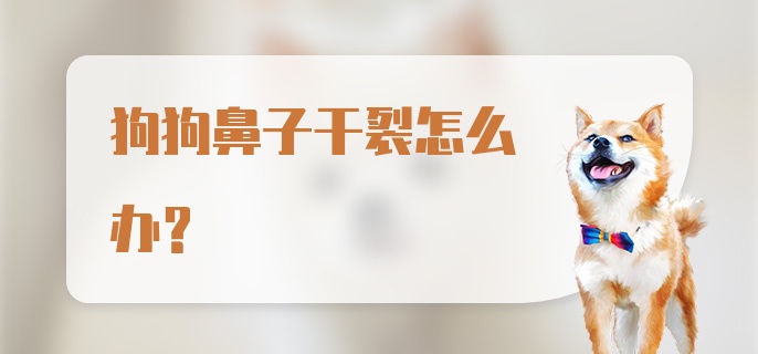 狗狗鼻子干裂怎么办？