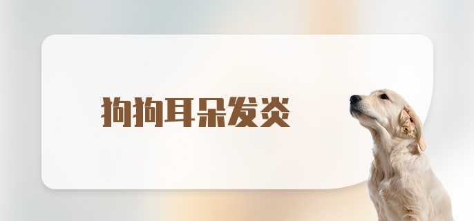 狗狗耳朵发炎