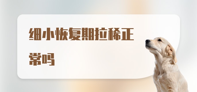 细小恢复期拉稀正常吗