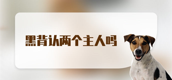 黑背认两个主人吗