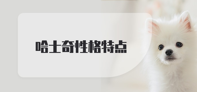 哈士奇性格特点