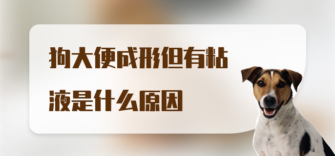 狗大便成形但有粘液是什么原因