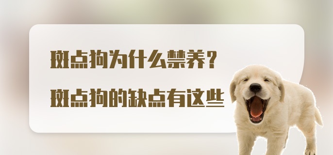 斑点狗为什么禁养？斑点狗的缺点有这些