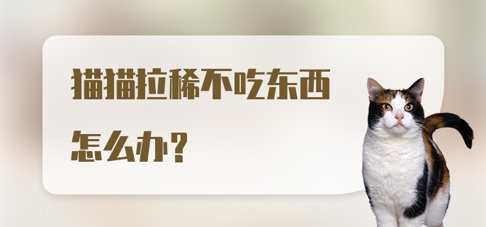 猫猫拉稀不吃东西怎么办？