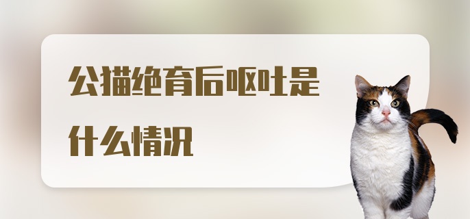 公猫绝育后呕吐是什么情况