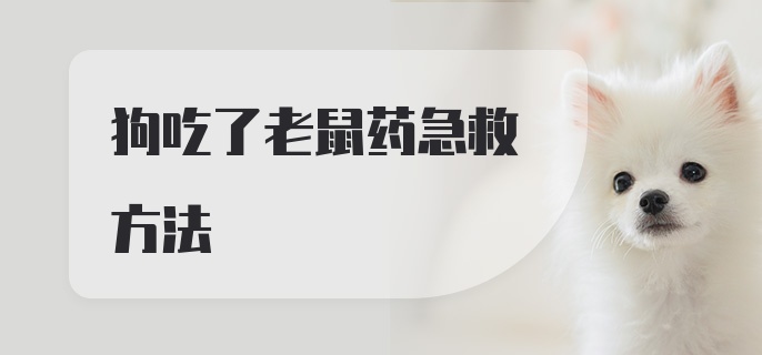 狗吃了老鼠药急救方法