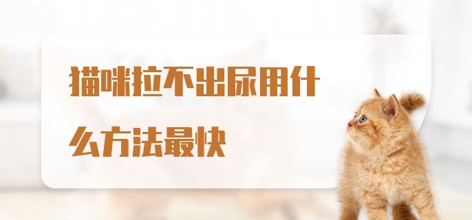 猫咪拉不出尿用什么方法最快