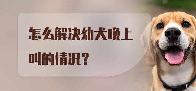 怎么解决幼犬晚上叫的情况？