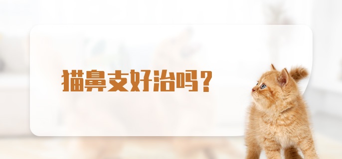 猫鼻支好治吗？