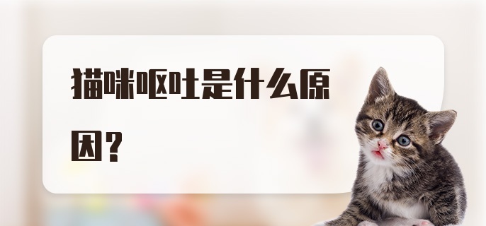 猫咪呕吐是什么原因?