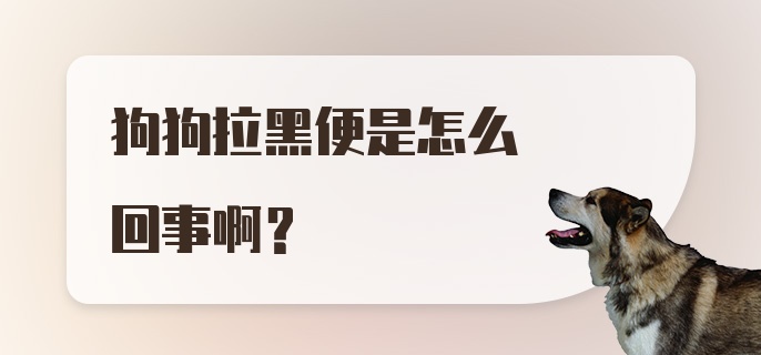 狗狗拉黑便是怎么回事啊？