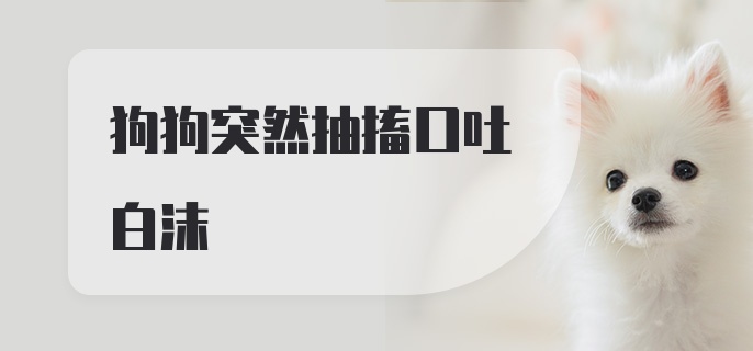 狗狗突然抽搐口吐白沫