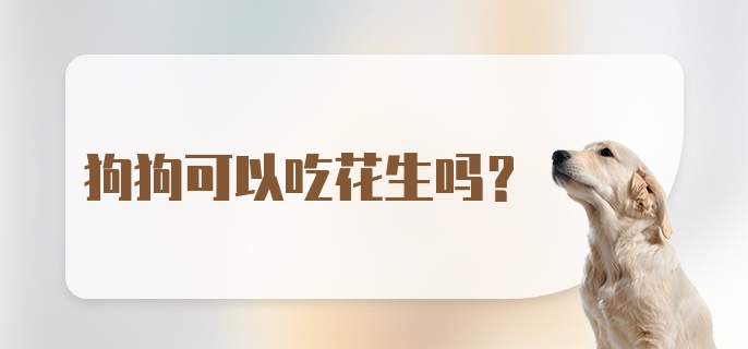 狗狗可以吃花生吗?