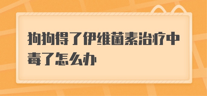 狗狗得了伊维菌素治疗中毒了怎么办