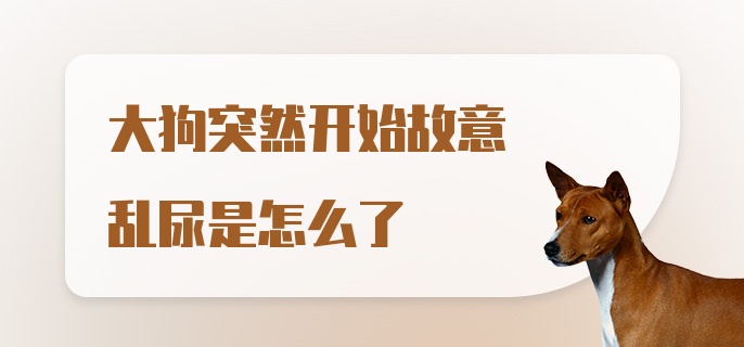 大狗突然开始故意乱尿是怎么了