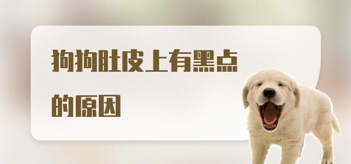 狗狗肚皮上有黑点的原因