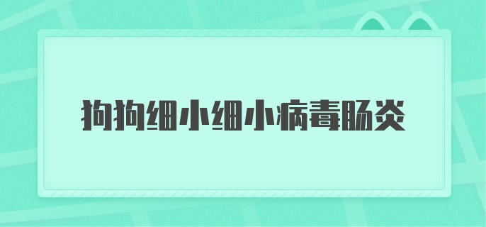 狗狗细小细小病毒肠炎