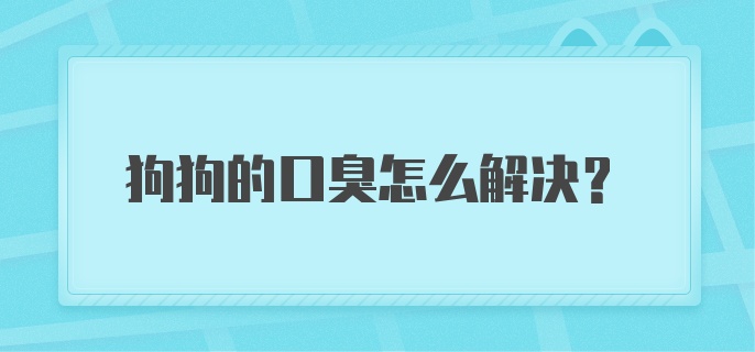 狗狗的口臭怎么解决？